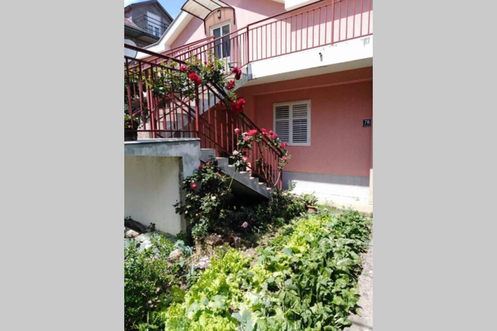 Apartman Danica Herceg Novi Dış mekan fotoğraf
